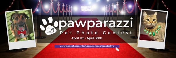 Pawparazzi Pet Photo Contest 